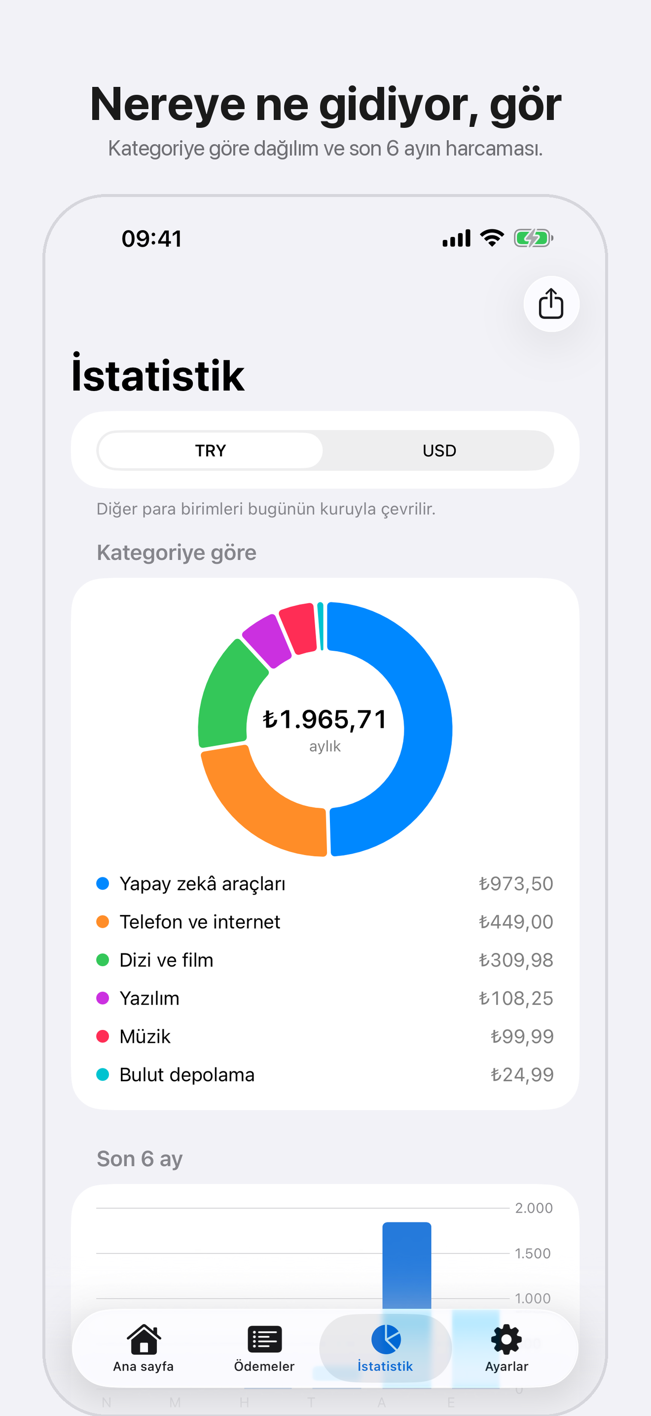 Payloop istatistik ekranı: kategoriye göre abonelik harcaması